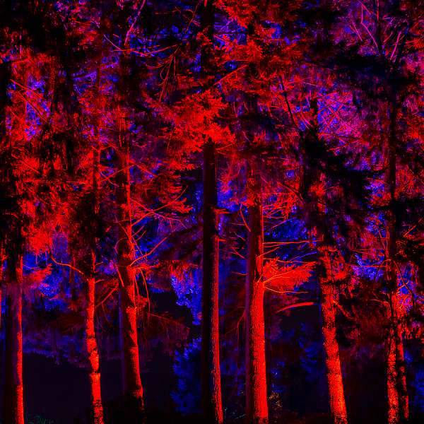Lanterna Magica - Winter Lights