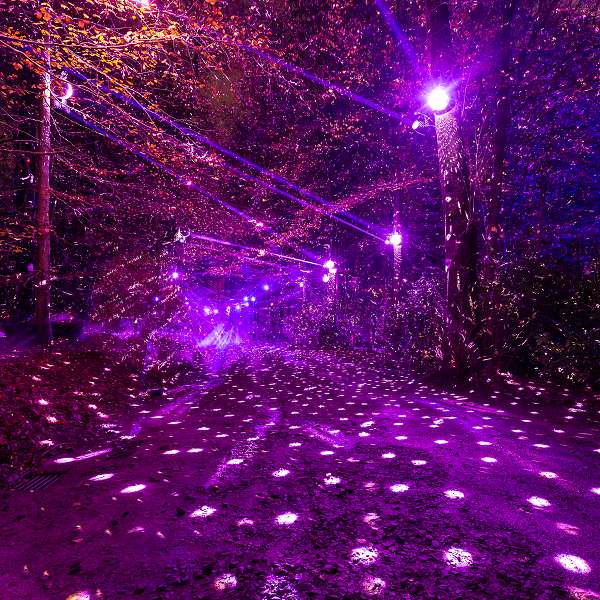 Lanterna Magica - Winter Lights