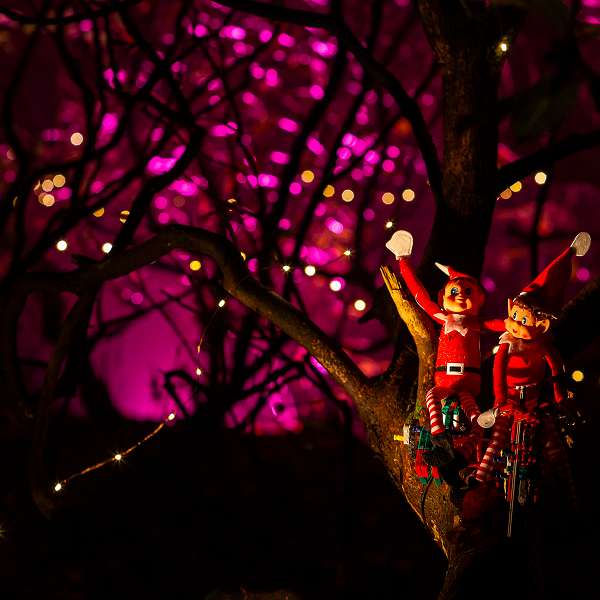 Lanterna Magica - Winter Lights