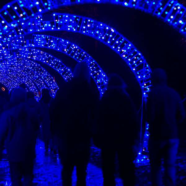 Lanterna Magica - Winter Lights