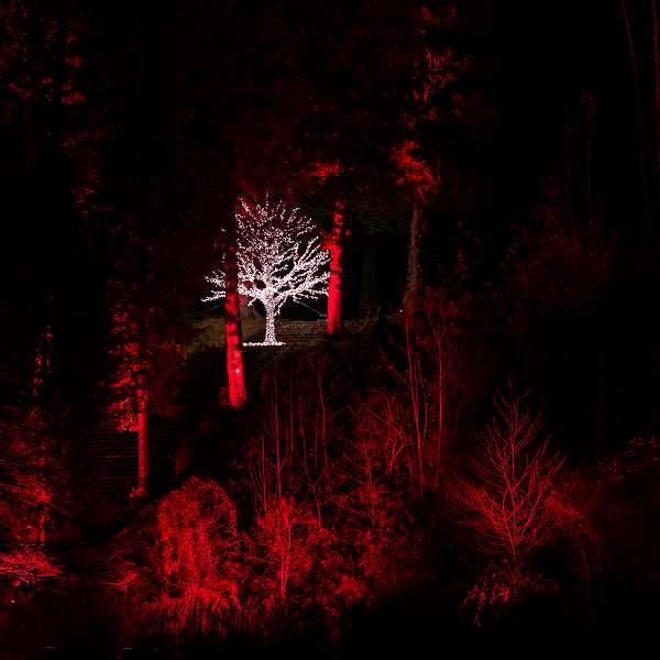 Lanterna Magica - Winter Lights