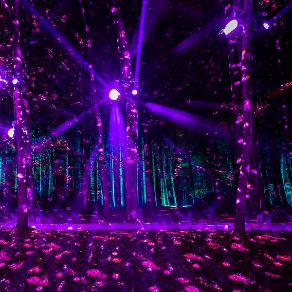 Lanterna Magica - Winter Lights