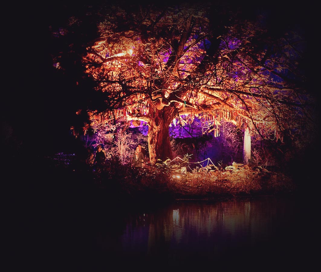 Lanterna Magica - Autumn Symphony | From 20 October